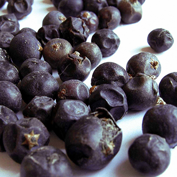 Juniper Berry Total Extract